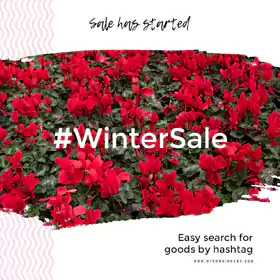 Instagram Flower Ads Banner Design