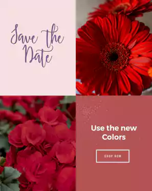 Pinterest Flower Ads Banner Design